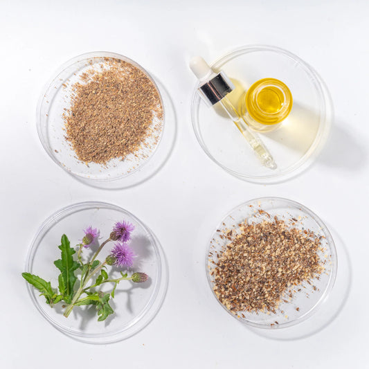 Natural Ways to Remove Microplastics from Your Body: Milk Thistle Seeds for Detoxification
