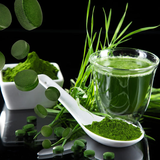 Chlorella: Nature's Green Miracle