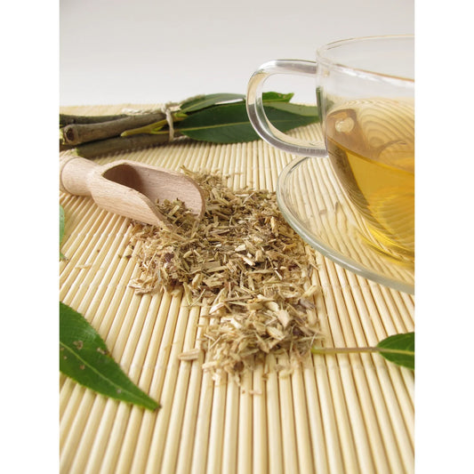 White Willow Bark: The Natural Power of Holistic Detoxification