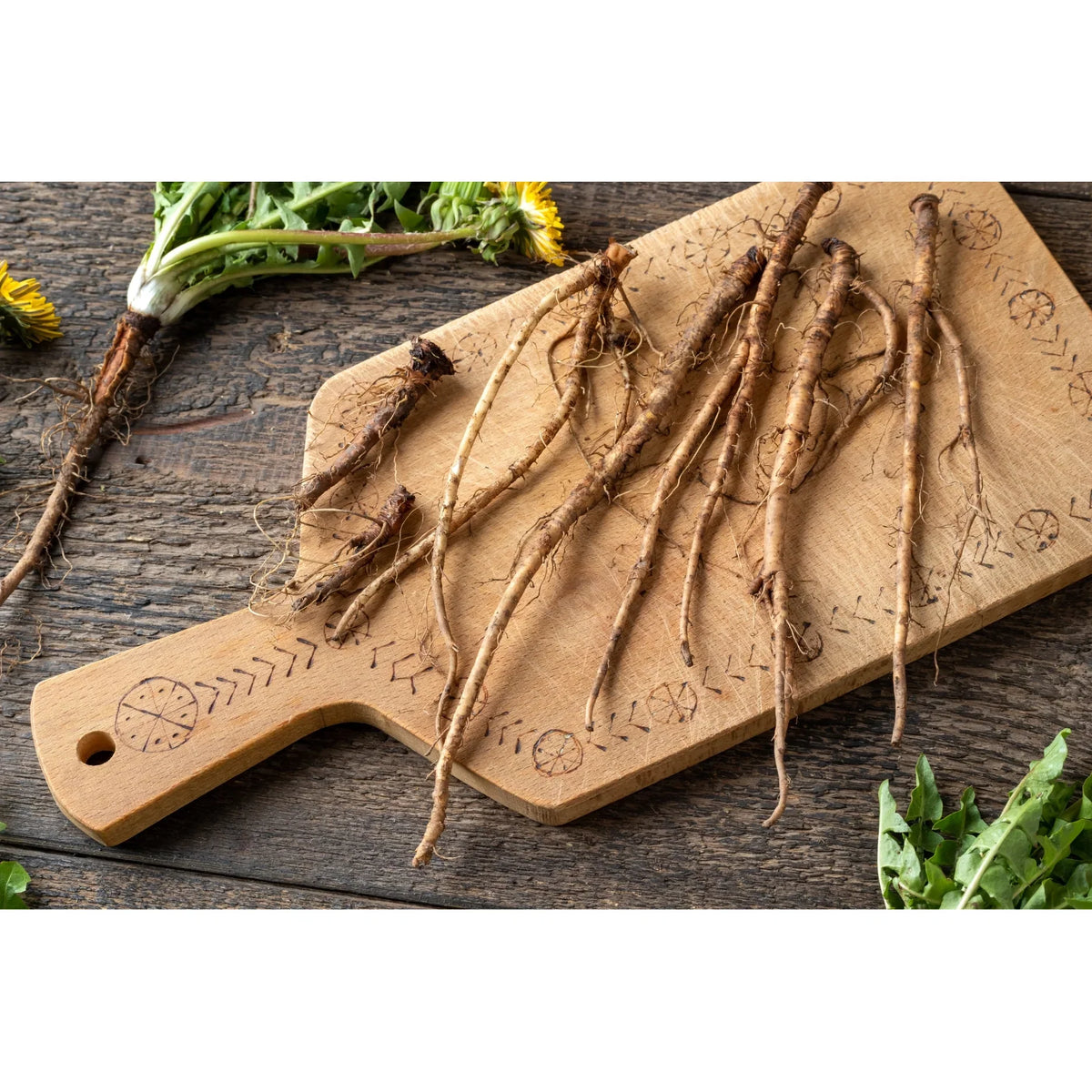 Dandelion Root History Blog