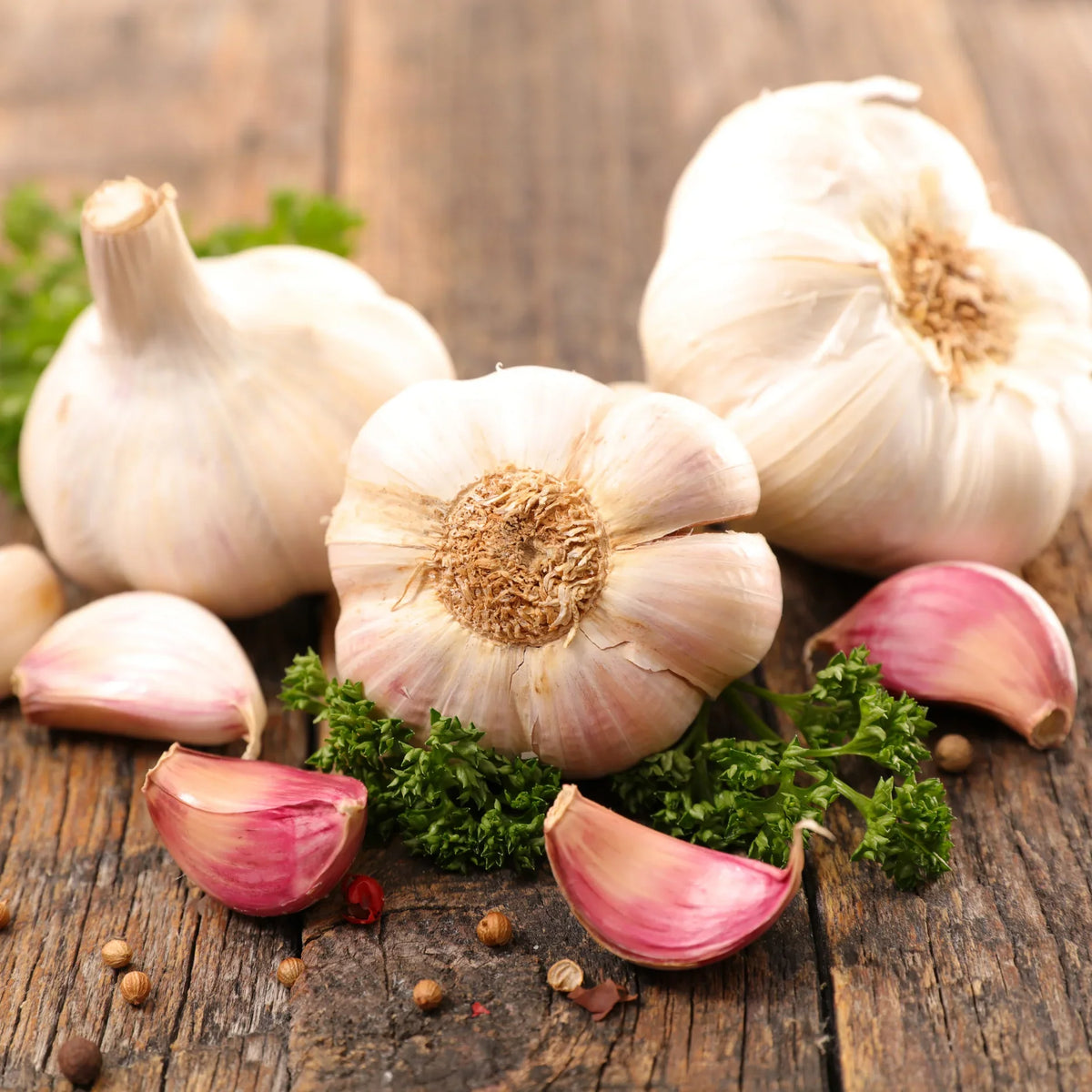 Garlic history Blog