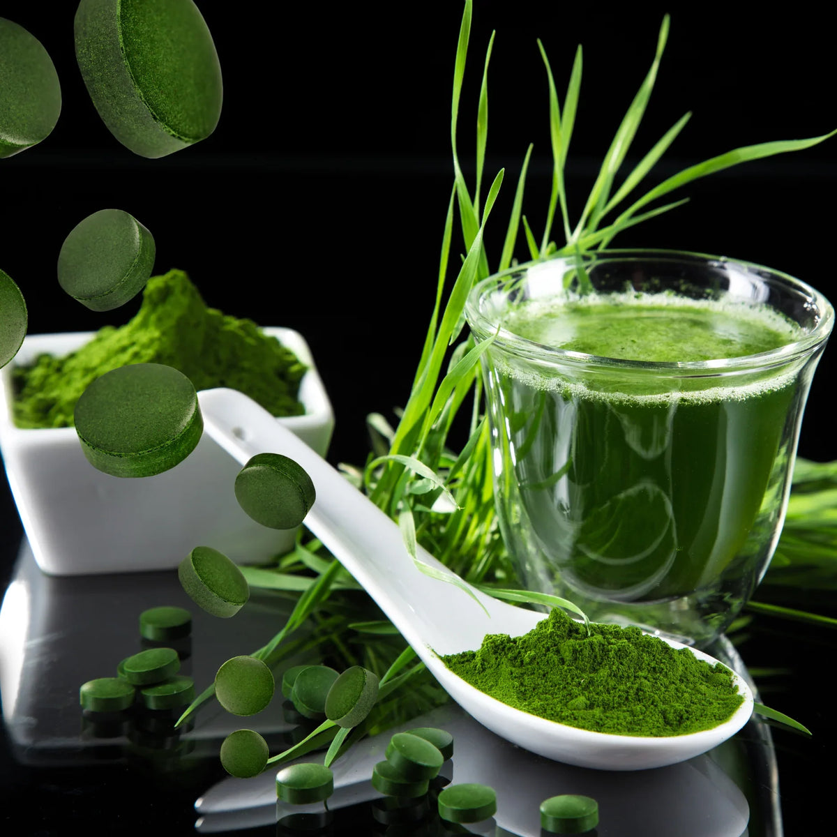 Chlorella Algae History Blog