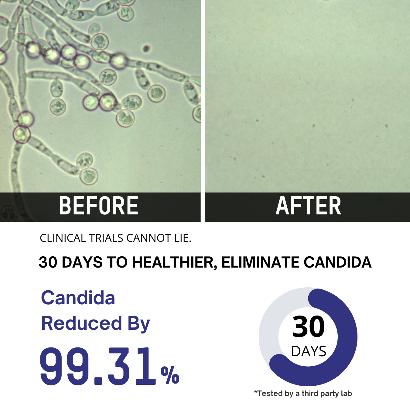 Lumi Sustain-Despara life