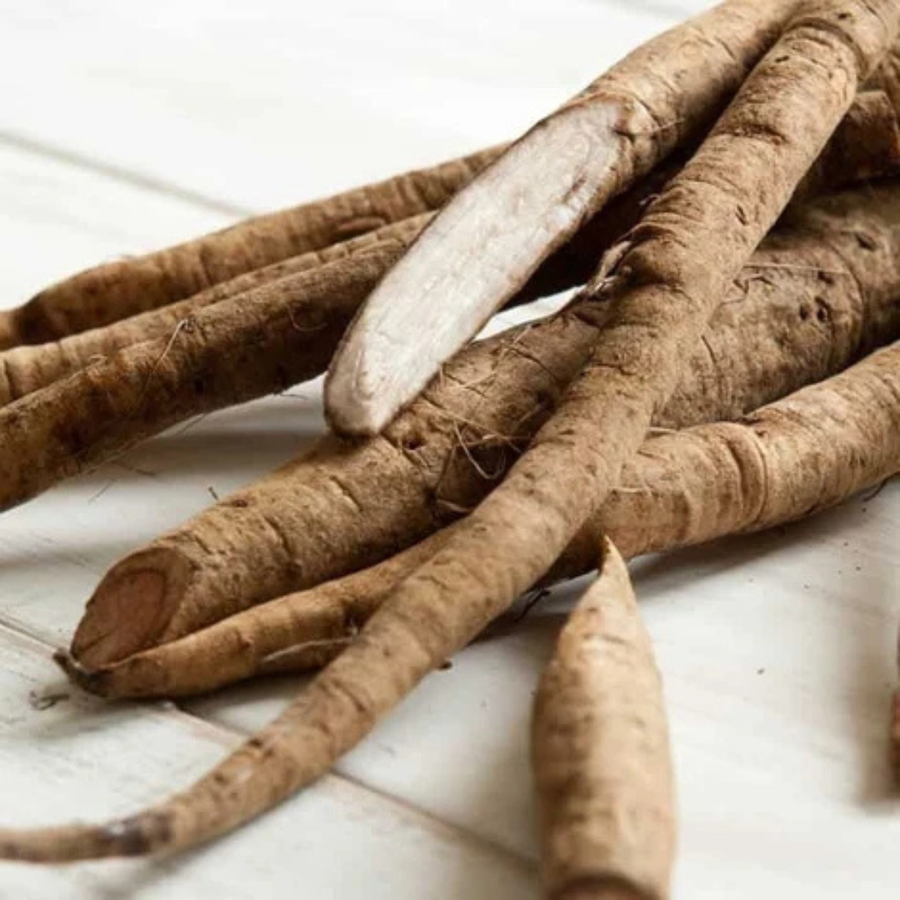 Burdock Root