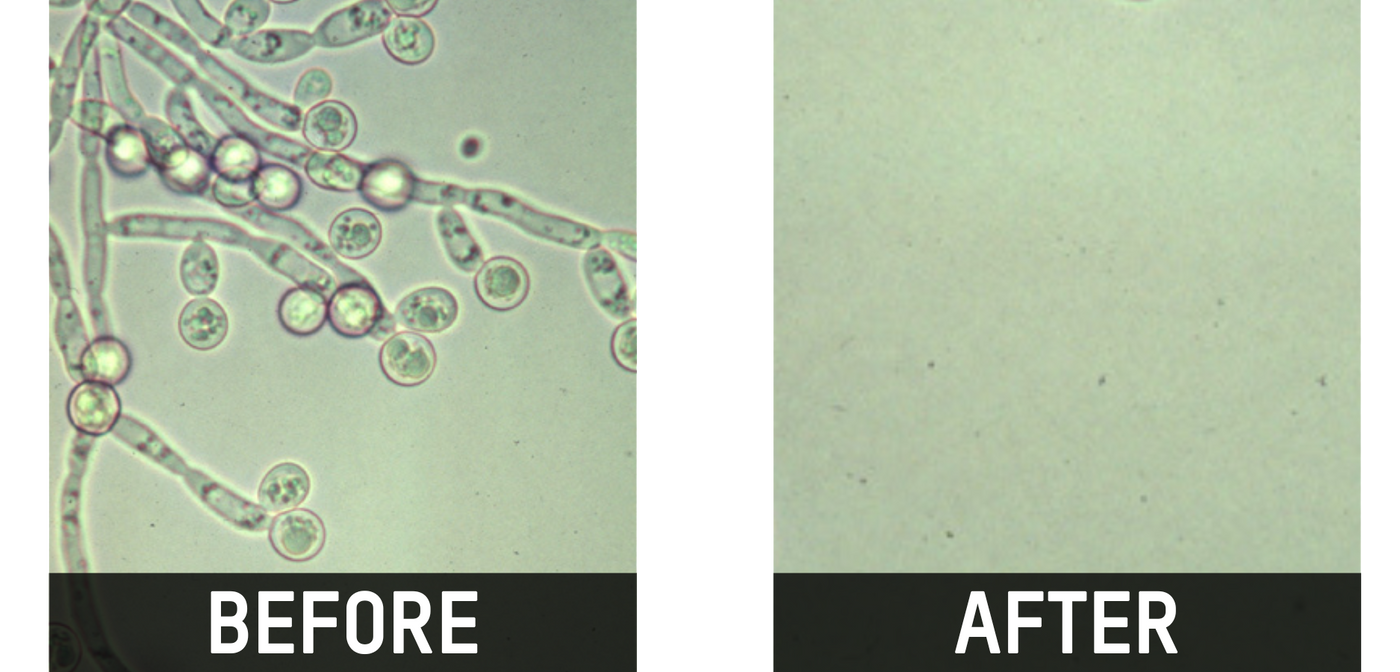 CLINICAL TRIALS CANNOT LIE.